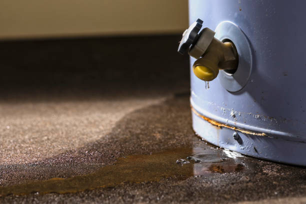 Best Flood restoration services  in Kings Park, NY