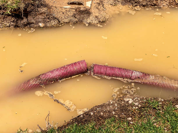 Best Water damage restoration specialists  in Kings Park, NY