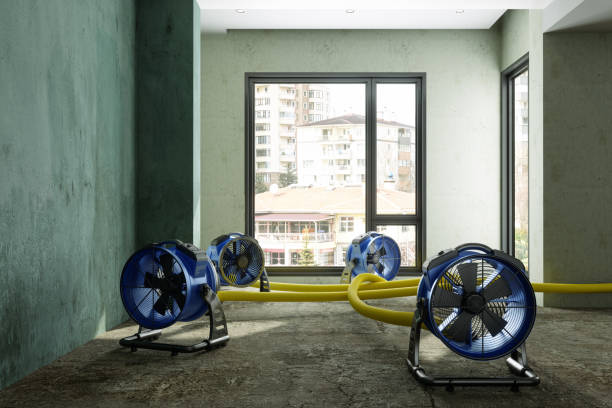 Best Flood restoration services  in Kings Park, NY