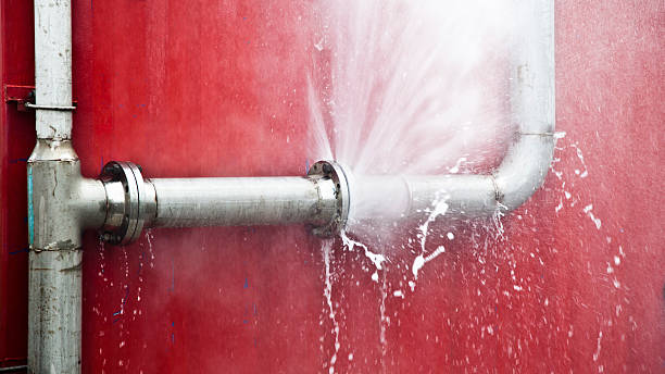  Kings Park, NY Water damage restoration Pros